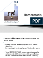 Maintain Optimal Internal Conditions With Homeostasis