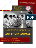 Protocolo Anatomia