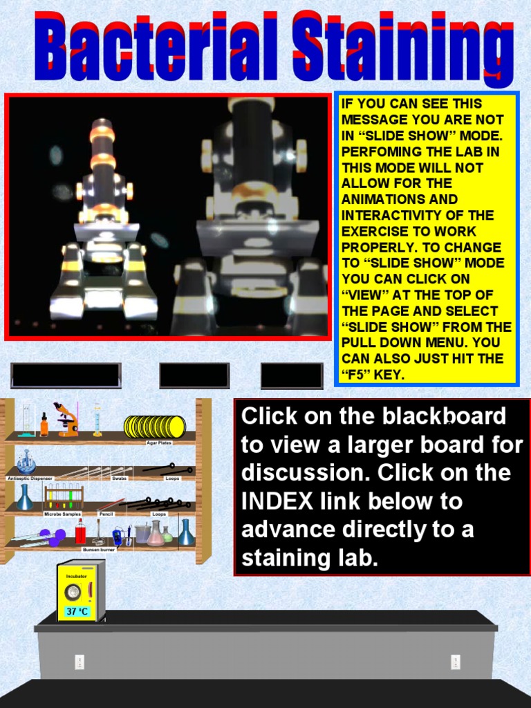 Virtual Lab On AFB Bacterial Staining | PDF | Staining | Biology