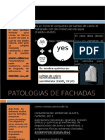 PDF Sabor y Olor Compress