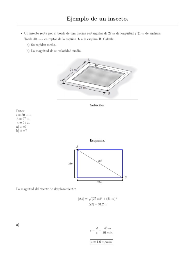 Cálculo de rapidez y velocidad de un insecto | PDF