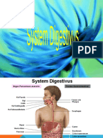 2.2. Histologi Sistem Pencernaan 1