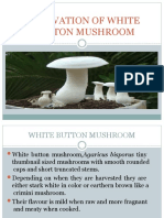 Cultivation of White Button Mushroom