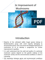 Genetic Improvement of Mushrooms