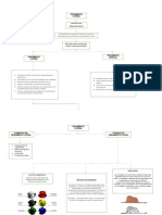 Mapa Conceptual Pensamiento Lateral