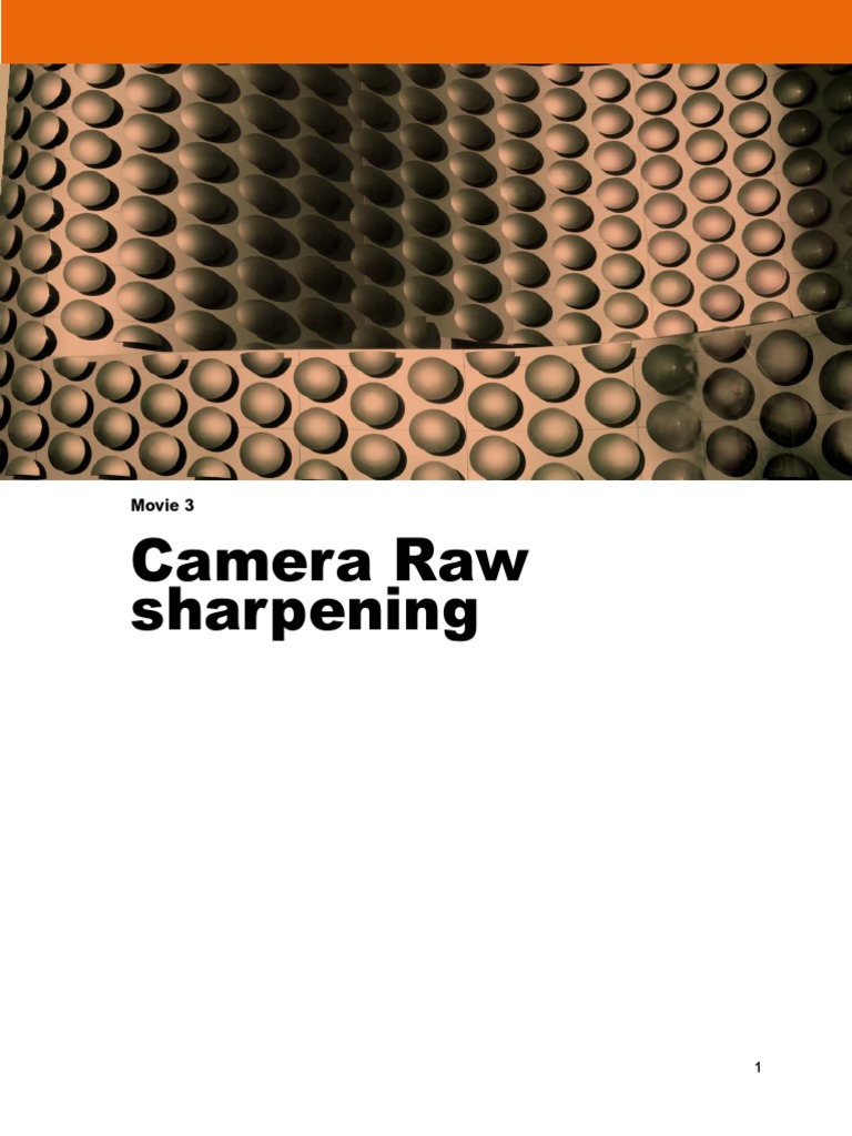 Camera Raw Sharpening Movie 3 PDF Multidimensional Signal