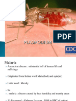 Malaria 171220061503