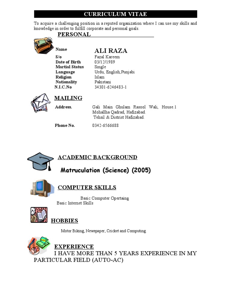 Ali Raza's CV: Skills & Experience | PDF