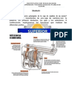 Partes de Caja Decambio