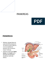 24.10 Pankreas