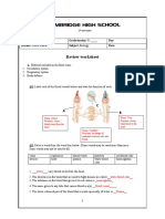 Biology Review Worksheet