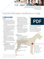 CB May 11 - Exocrine Pancreatic Insuffic