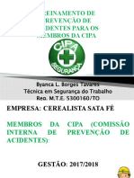 Treinamento Cipa