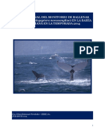 Informe Monitoreo Ballenas 2014