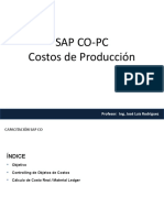 SAP-CO - Ejecución y Cierre