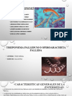 Treponema Pallidum-1