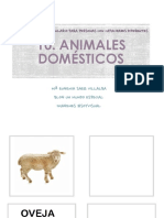 Cuadernillos de Vocabulario Básico. Animales Domésticos
