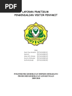 Download lap pvp part1 by Taa Ultimates SN52395087 doc pdf