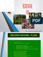 Recurso Flora