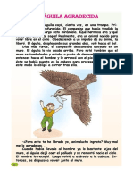 Plan Lector-Aguila Agradecida-Ok