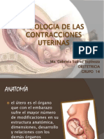 fisiologiadelascontraccionesuterinas-110215171630-phpapp02