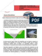 Minilab Fuerzas Hidrostaticas- Camila Daza