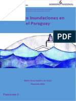 ae9496-GrandesInundacionesenelParaguay