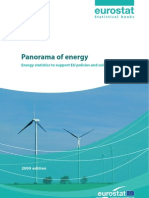 18423532-Euro-Statistics-Panorama-on-Energy-2009