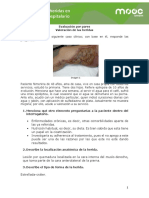 Tratamiento de Heridas - Actividad Por Pares - Coursera