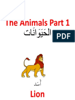 Animal-P1
