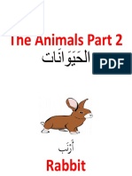 Animal-P2