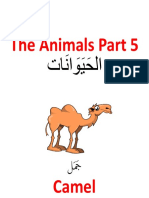 Animal-P5
