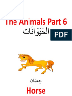 Animal-P6