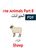 Animal-P8