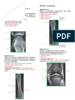 Guia Practica #6