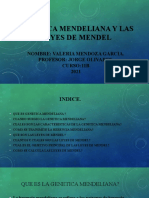 Biologia Valeria Mendoza Leyes de Menel y Genetica Meneliana