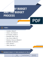 1 Barangay Budget and Process TEAM3