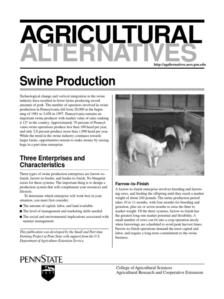 pig farming business plan kenya pdf