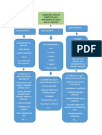 Mapa Conceptual