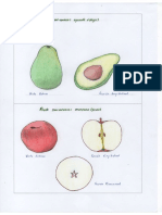 Partes Plantas (3)