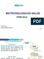 Biotecnología en salud: Células Madre y sus Aplicaciones