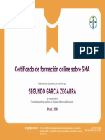 Certificado Formación Online SMA