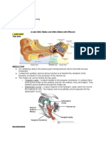  ENT-Summary AOM