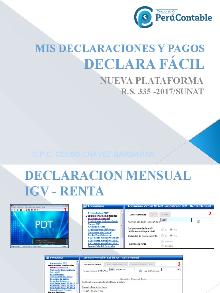 Guía para Declarar IGV Mensual en SUNAT | PDF | Informática | Software