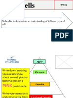 Cells Project For Grade 8