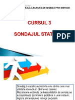 3 Sondajul Statistic