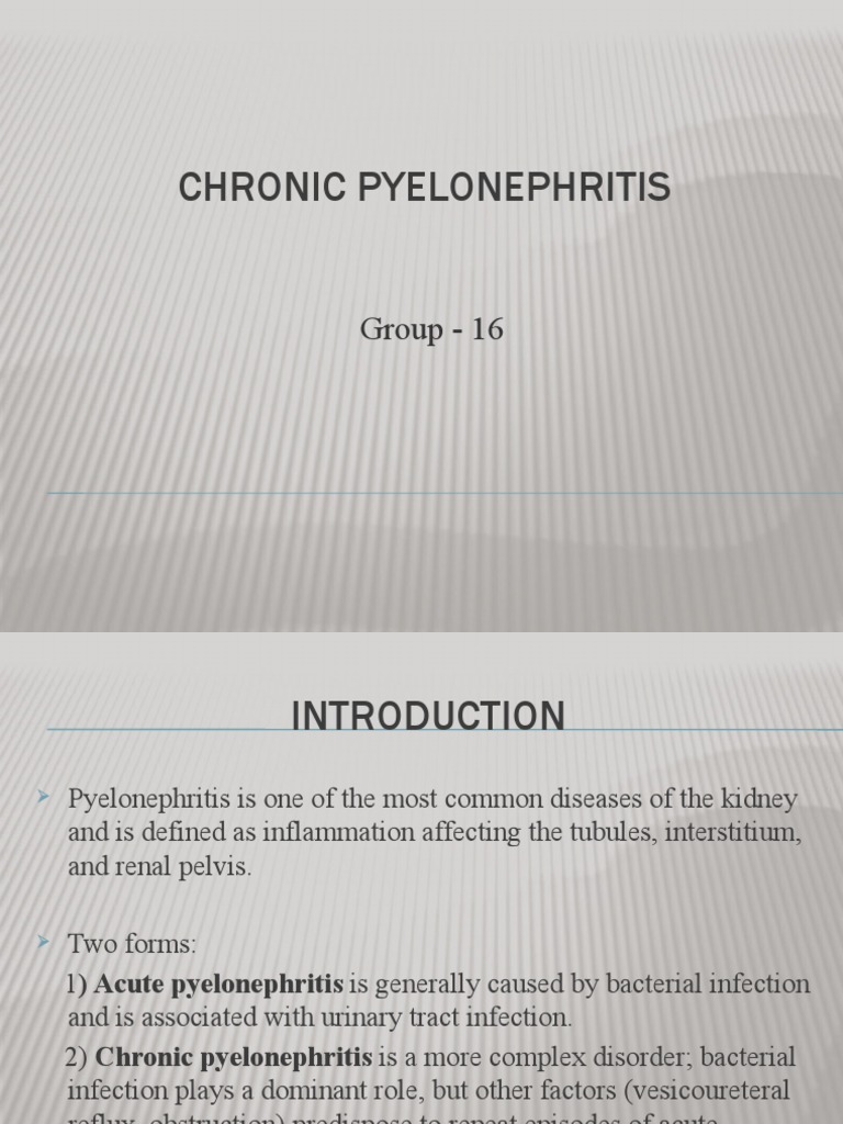 Overview of Chronic Pyelonephritis | PDF | Urinary Bladder | Kidney
