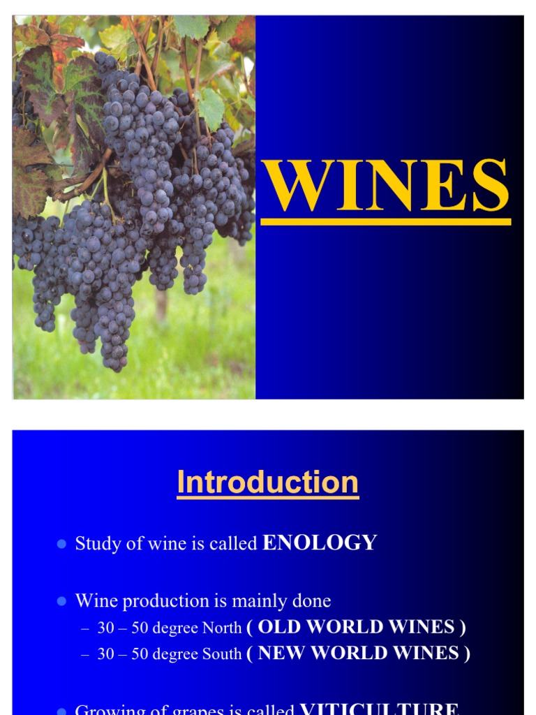 1 - Wines Introduction | PDF | Business