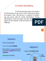 Meiosis (Reduction Division)