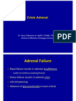Crisis Adrenal: Dr. Sony Wibisono DR, SPPD, K-Emd, Finasim